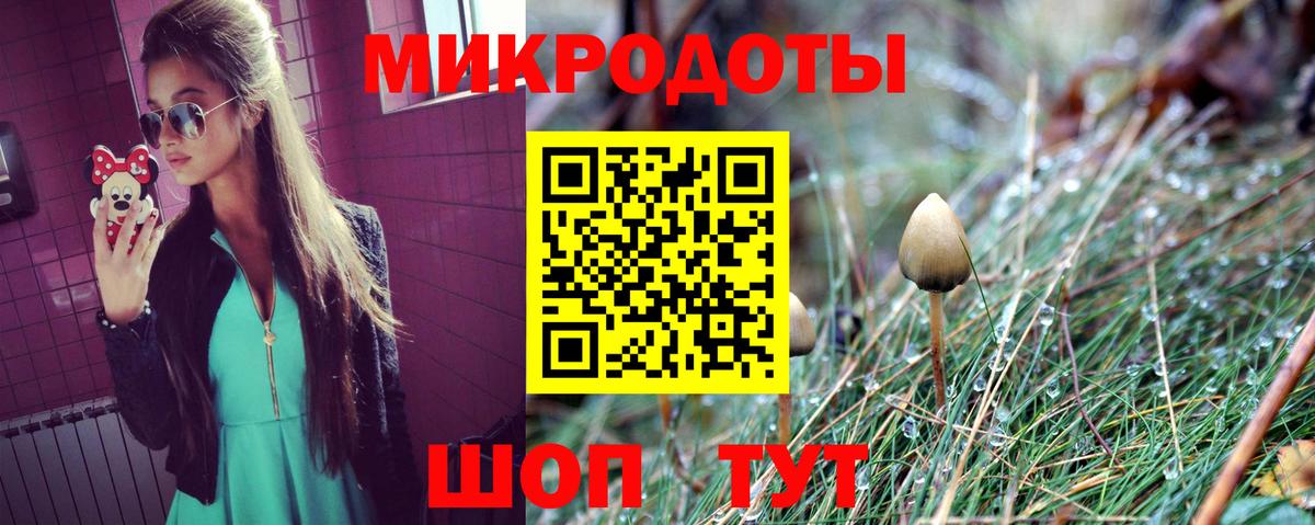 Шарыпово  Псилоцибиновые грибы Magic Shrooms  Вход с VPN 