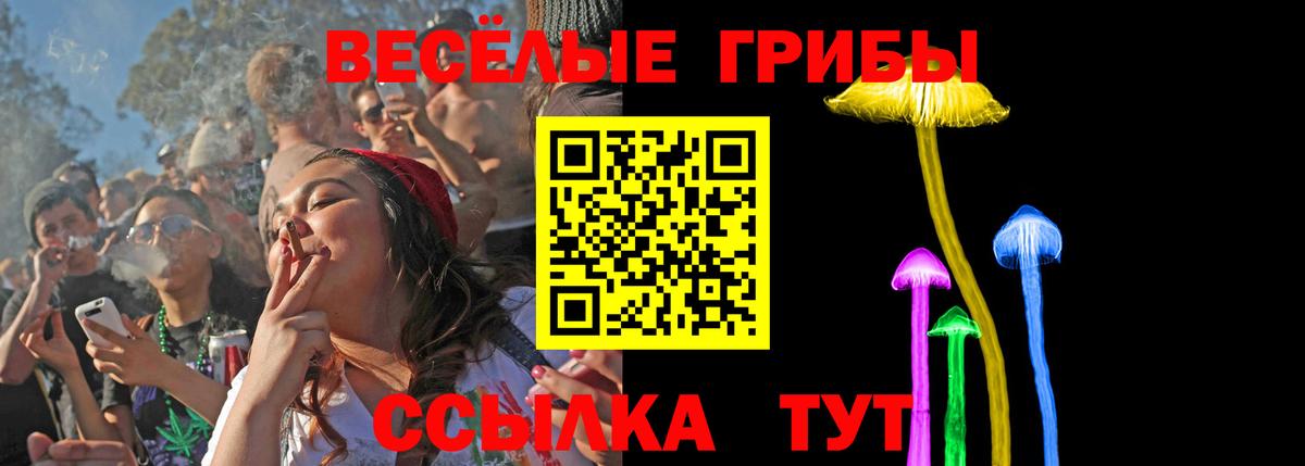 Галлюциногенные грибы Cubensis Шарыпово